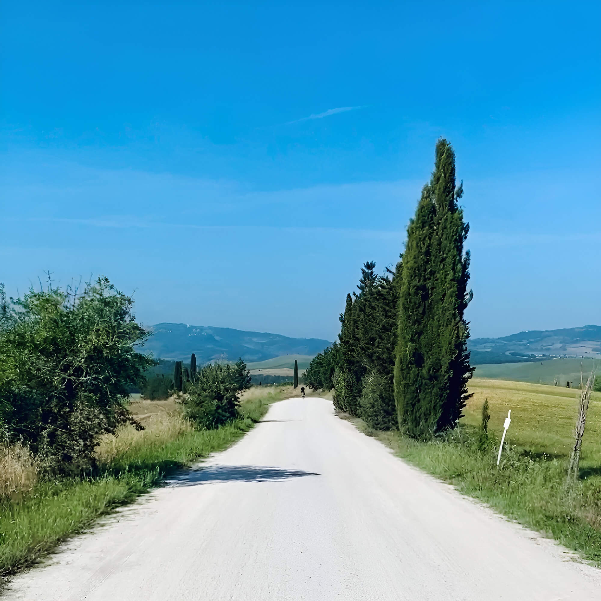 Italy: A winding mountain road through the Dolomites, surrounded by dramatic peaks